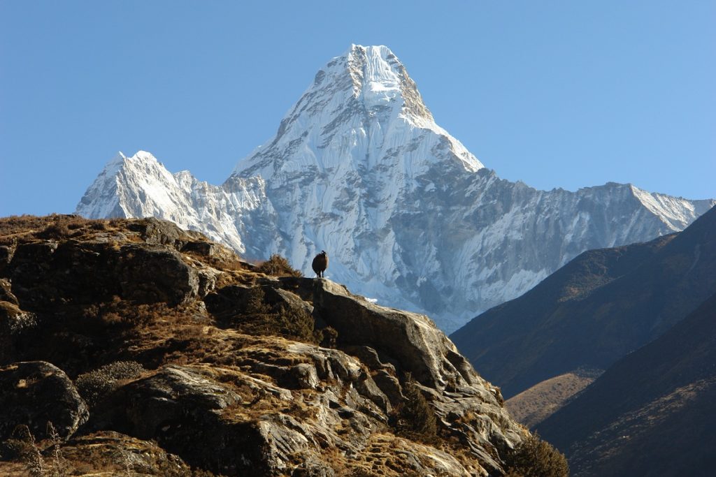 Join us in a climbing adventure(2021),ft Mt. Amadablam